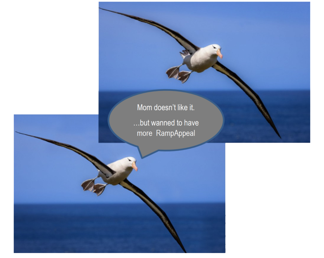 Albatross illustrating the top-wing concept